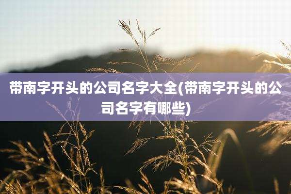 带南字开头的公司名字大全(带南字开头的公司名字有哪些)