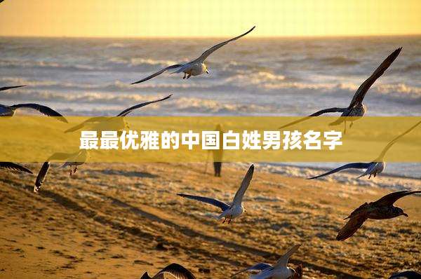 最最优雅的中国白姓男孩名字