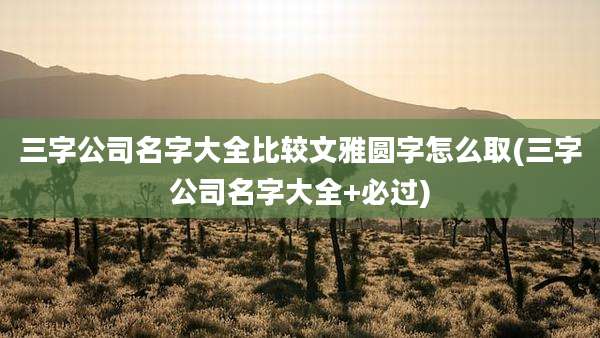 三字公司名字大全比较文雅圆字怎么取(三字公司名字大全+必过)