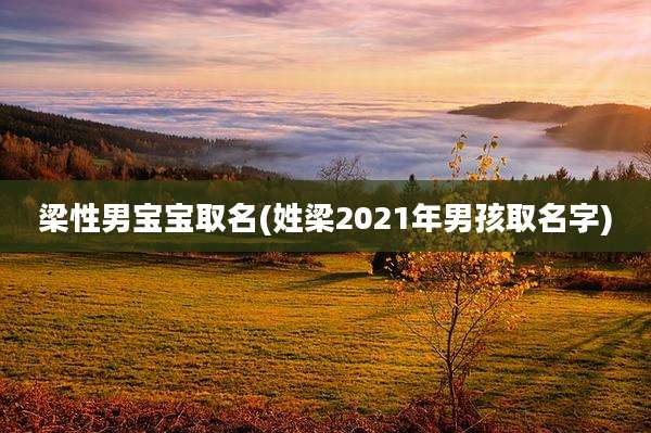 梁性男宝宝取名(姓梁2021年男孩取名字)