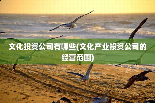 文化投资公司有哪些(文化产业投资公司的经营范围)