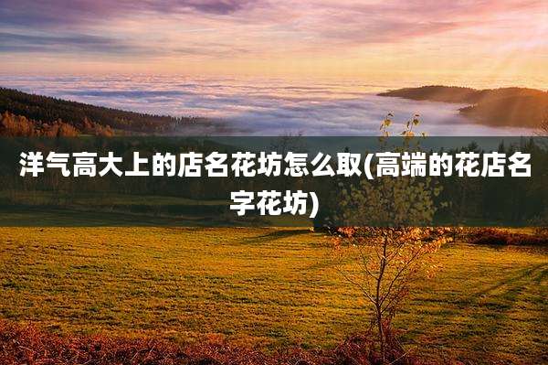 洋气高大上的店名花坊怎么取(高端的花店名字花坊)