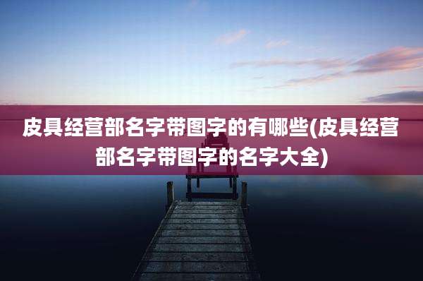 皮具经营部名字带图字的有哪些(皮具经营部名字带图字的名字大全)