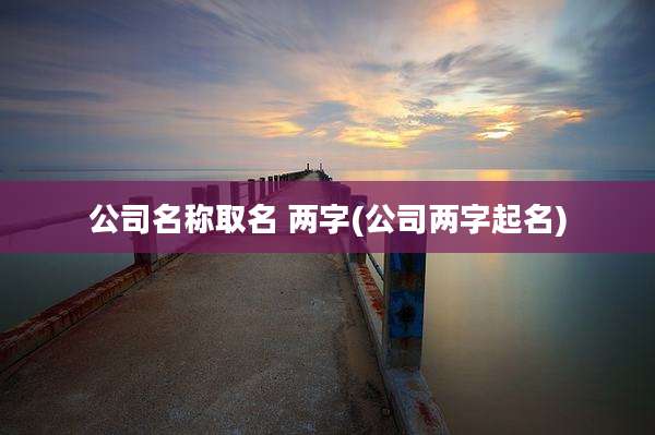 公司名称取名 两字(公司两字起名)