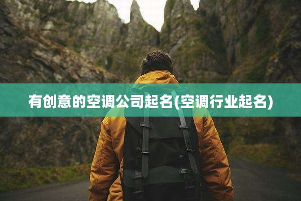 有创意的空调公司起名(空调行业起名)