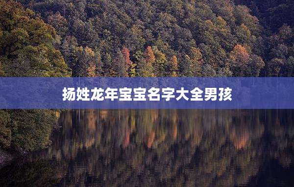 扬姓龙年宝宝名字大全男孩