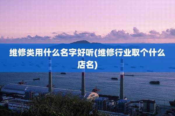 维修类用什么名字好听(维修行业取个什么店名)