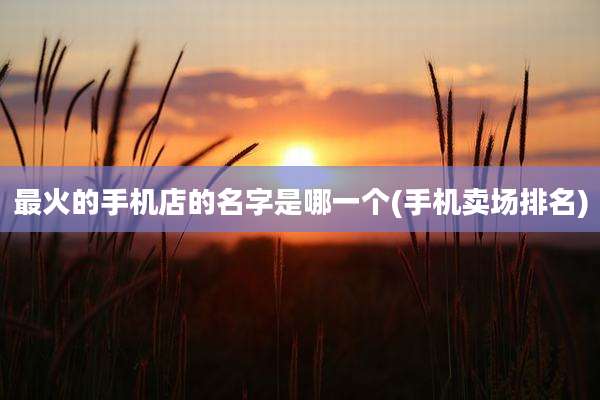 最火的手机店的名字是哪一个(手机卖场排名)