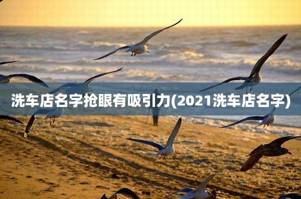 洗车店名字抢眼有吸引力(2021洗车店名字)