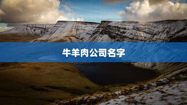 牛羊肉公司名字