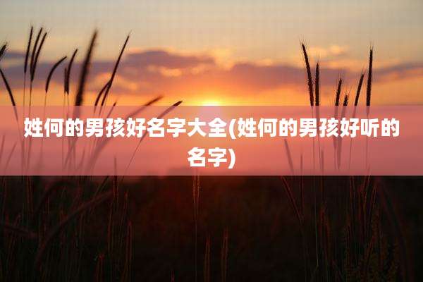 姓何的男孩好名字大全(姓何的男孩好听的名字)