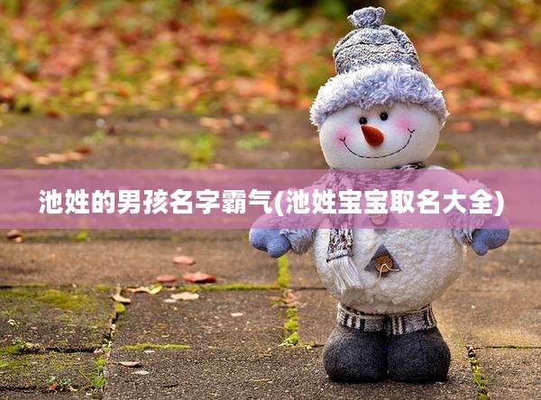 池姓的男孩名字霸气(池姓宝宝取名大全)