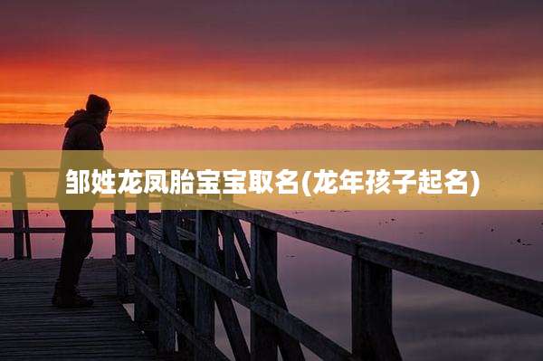 邹姓龙凤胎宝宝取名(龙年孩子起名)