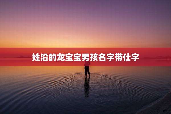 姓沿的龙宝宝男孩名字带仕字