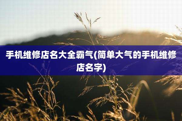 手机维修店名大全霸气(简单大气的手机维修店名字)