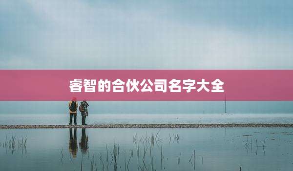 睿智的合伙公司名字大全