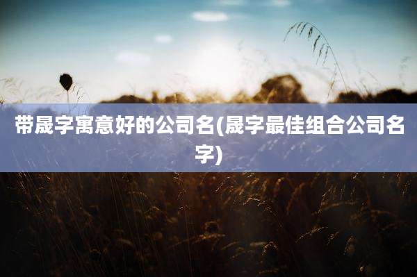 带晟字寓意好的公司名(晟字最佳组合公司名字)