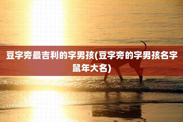 豆字旁最吉利的字男孩(豆字旁的字男孩名字鼠年大名)
