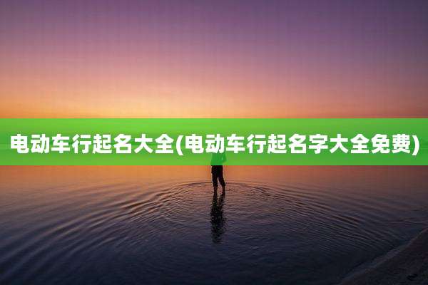 电动车行起名大全(电动车行起名字大全免费)