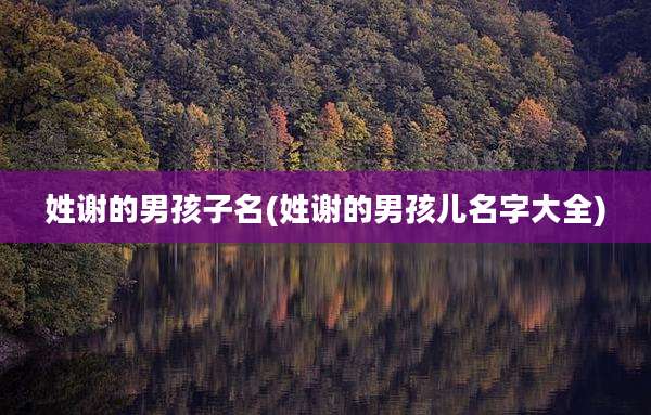 姓谢的男孩子名(姓谢的男孩儿名字大全)