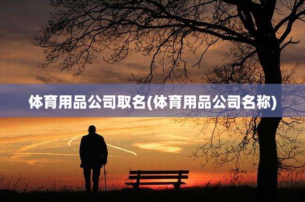 体育用品公司取名(体育用品公司名称)