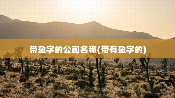 带盈字的公司名称(带有盈字的)