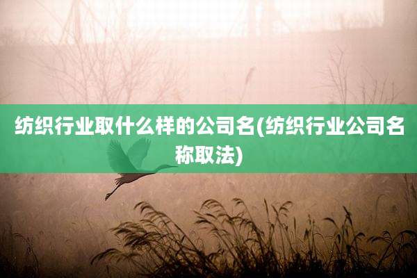 纺织行业取什么样的公司名(纺织行业公司名称取法)