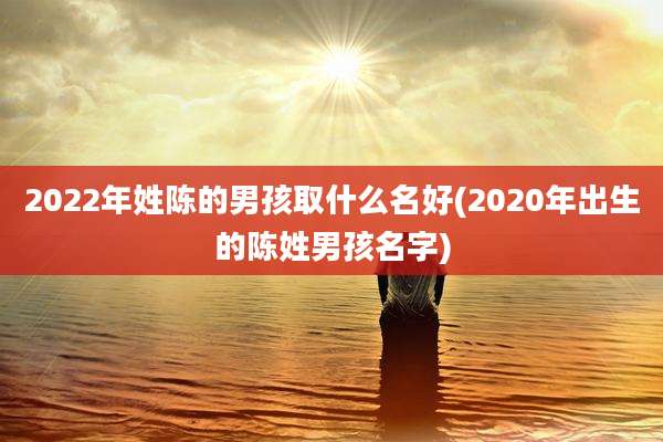 2022年姓陈的男孩取什么名好(2020年出生的陈姓男孩名字)