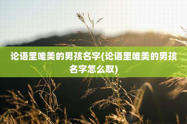论语里唯美的男孩名字(论语里唯美的男孩名字怎么取)