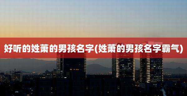 好听的姓萧的男孩名字(姓萧的男孩名字霸气)