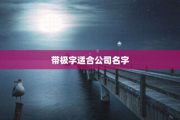 带极字适合公司名字
