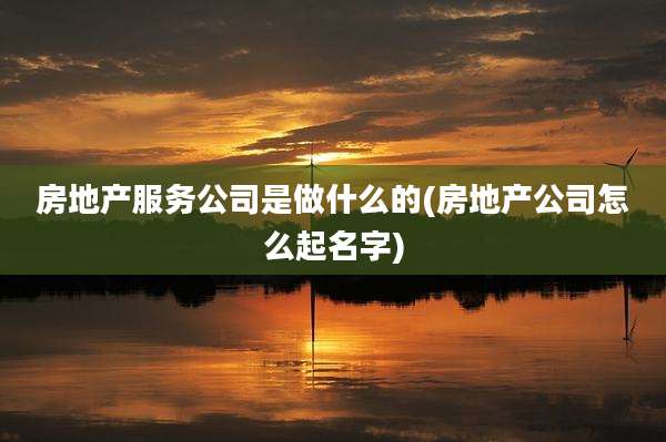房地产服务公司是做什么的(房地产公司怎么起名字)
