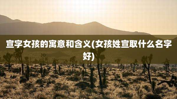 宣字女孩的寓意和含义(女孩姓宣取什么名字好)