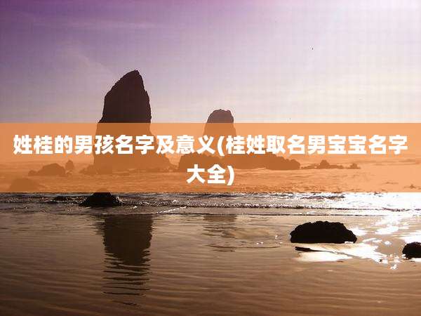 姓桂的男孩名字及意义(桂姓取名男宝宝名字大全)