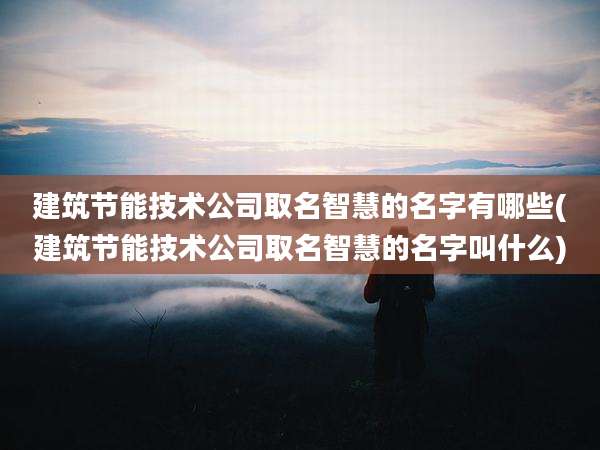建筑节能技术公司取名智慧的名字有哪些(建筑节能技术公司取名智慧的名字叫什么)