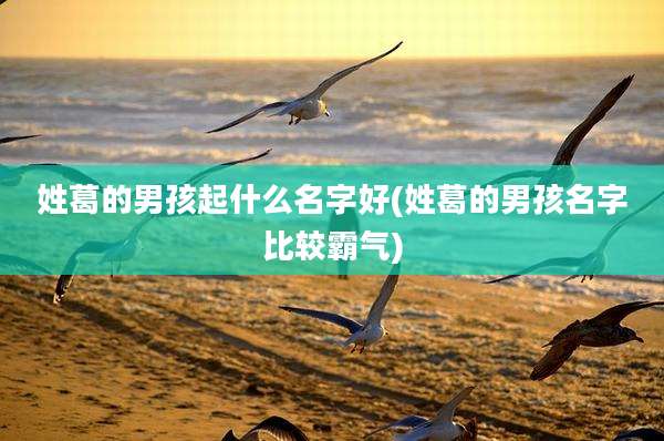 姓葛的男孩起什么名字好(姓葛的男孩名字比较霸气)