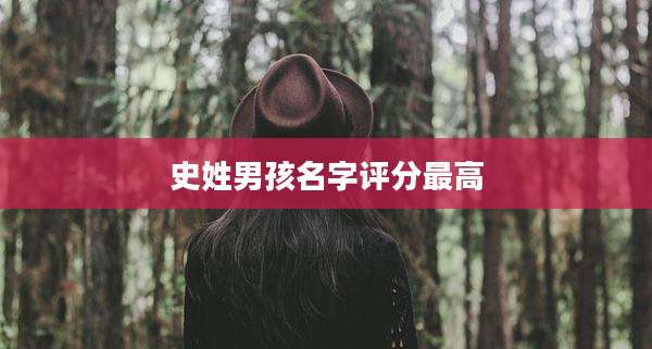 史姓男孩名字评分最高