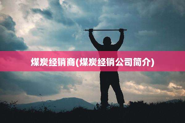 煤炭经销商(煤炭经销公司简介)