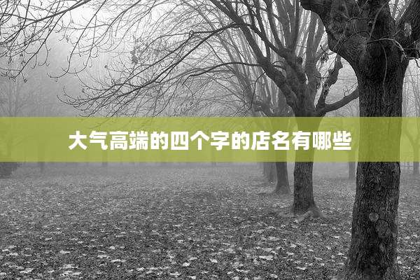 大气高端的四个字的店名有哪些