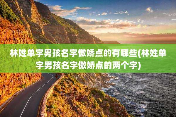 林姓单字男孩名字傲娇点的有哪些(林姓单字男孩名字傲娇点的两个字)