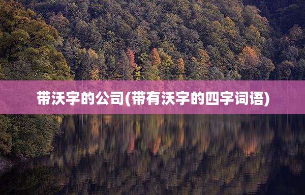 带沃字的公司(带有沃字的四字词语)