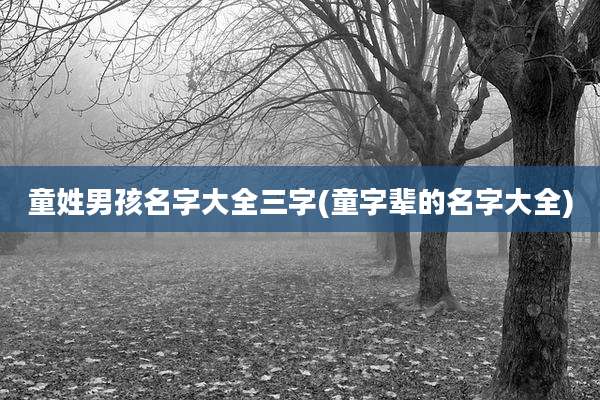 童姓男孩名字大全三字(童字辈的名字大全)