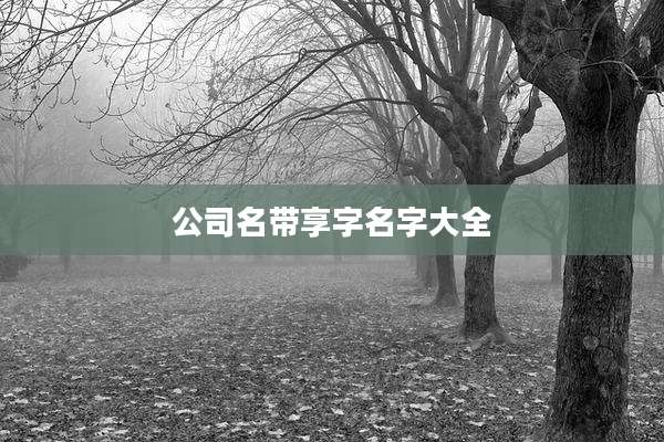 公司名带享字名字大全