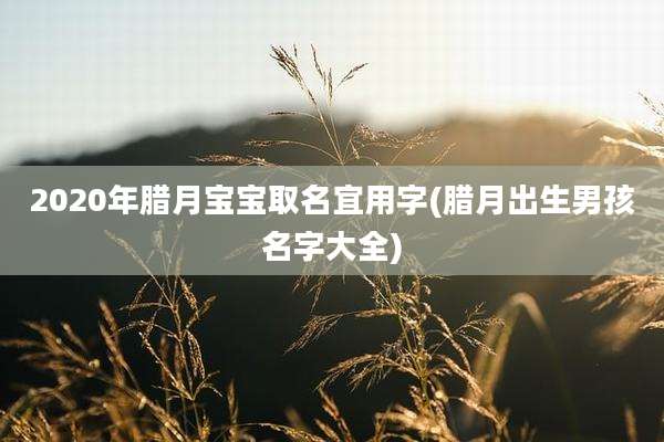 2020年腊月宝宝取名宜用字(腊月出生男孩名字大全)