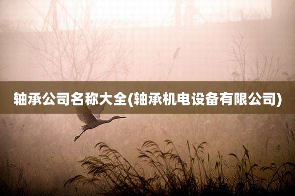 轴承公司名称大全(轴承机电设备有限公司)