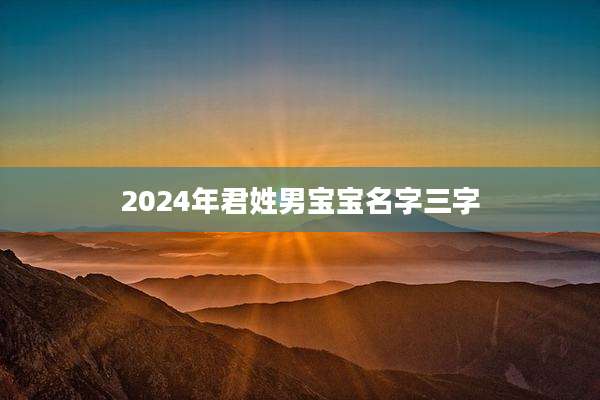 2024年君姓男宝宝名字三字