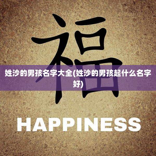姓沙的男孩名字大全(姓沙的男孩起什么名字好)