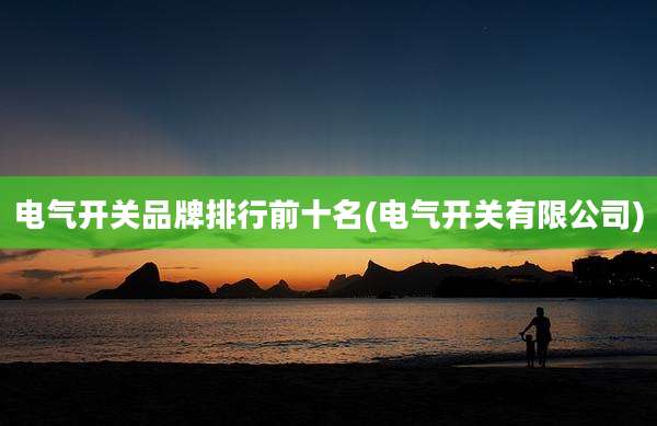 电气开关品牌排行前十名(电气开关有限公司)