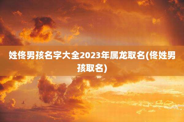 姓佟男孩名字大全2023年属龙取名(佟姓男孩取名)