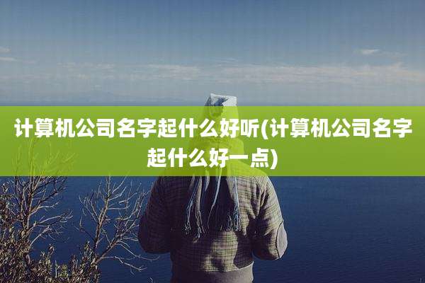 计算机公司名字起什么好听(计算机公司名字起什么好一点)